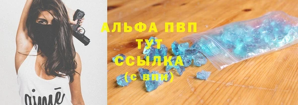мяу мяу мука Баксан