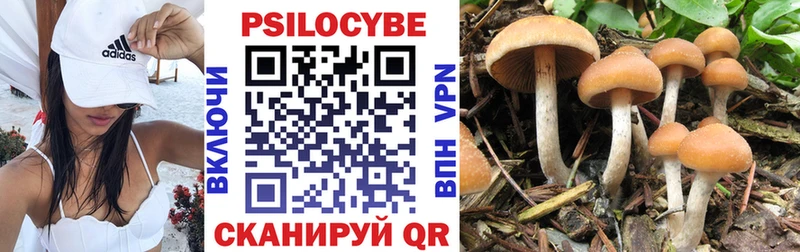 Псилоцибиновые грибы GOLDEN TEACHER  Купить закладки  Сертолово 