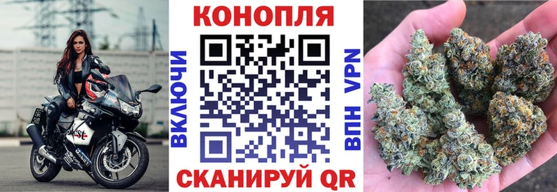 Купить  Сертолово  МАРИХУАНА SATIVA & INDICA 